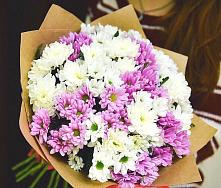 Букет цветов из:  Хризантемы #REPLACE_PRED# Сосновке