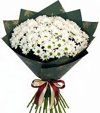 Букет цветов из:  Хризантемы #REPLACE_PRED# Сосновке